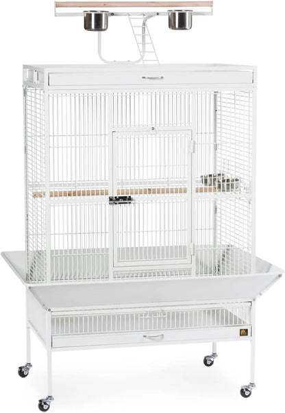 Prevue Pet Products Wrought Iron Select Bird Cage, Chalk White, 36-Inch x 24-Inch x 66-Inch - 3154C