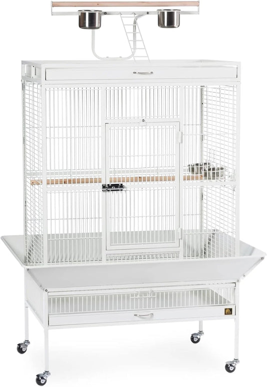 Prevue Pet Products Wrought Iron Select Bird Cage, Chalk White, 36-Inch x 24-Inch x 66-Inch - 3154C
