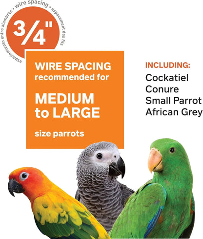 Prevue Pet Products Wrought Iron Select Bird Cage, Chalk White, 36-Inch x 24-Inch x 66-Inch - 3154C